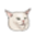 LMEOW