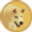 DOGGO