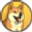 DOGE20