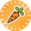CARROT