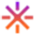 L1X