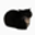 MAXCAT
