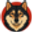 KAMI
