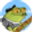 FWIF