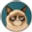 GrumpyCat