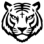 BNBTiger