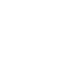 Apple Inc.